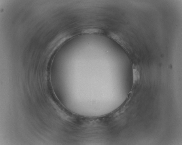 X0000074310243200609081949