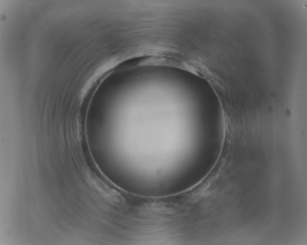 X0000074310244200609081949