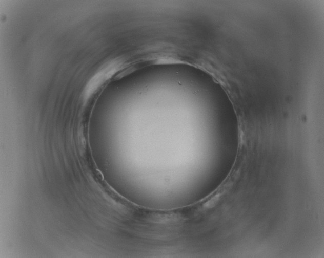 X0000074310245200609081949