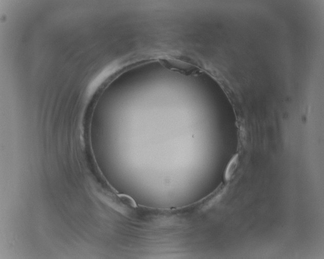 X0000074310246200609081949