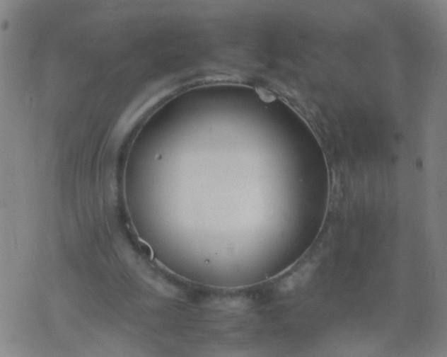 X0000074310247200609081949