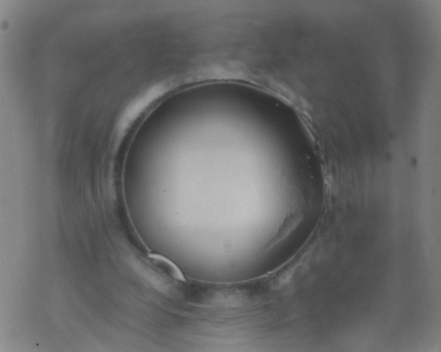 X0000074310248200609081949