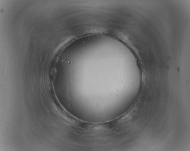 X0000074310249200609081949