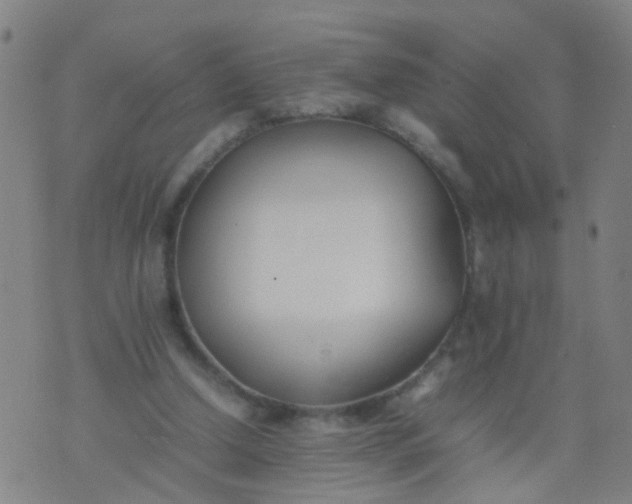 X0000074310250200609081949