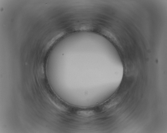 X0000074310251200609081949