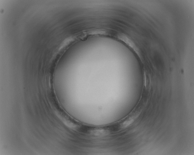 X0000074310253200609081949