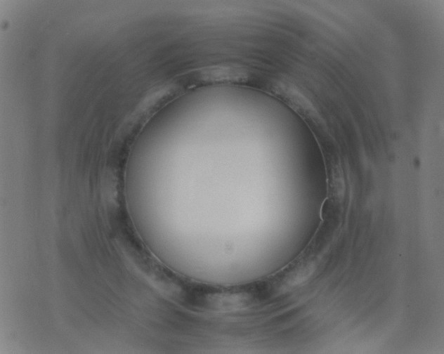 X0000074310255200609081949