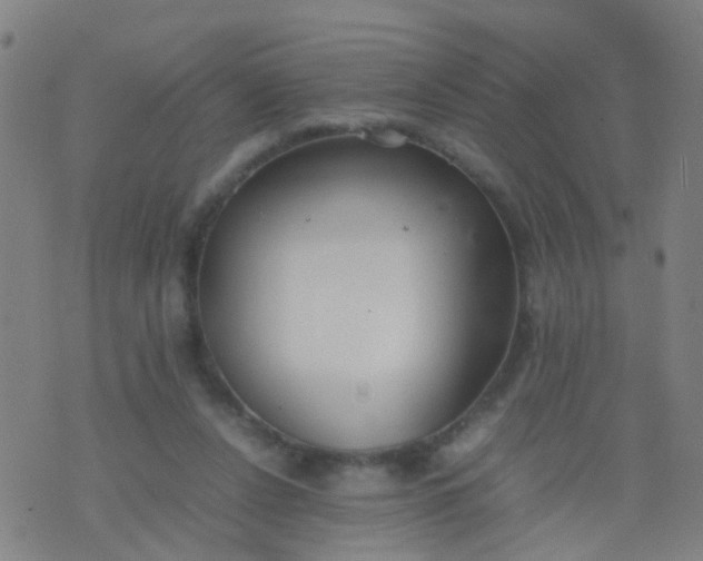 X0000074310256200609081949