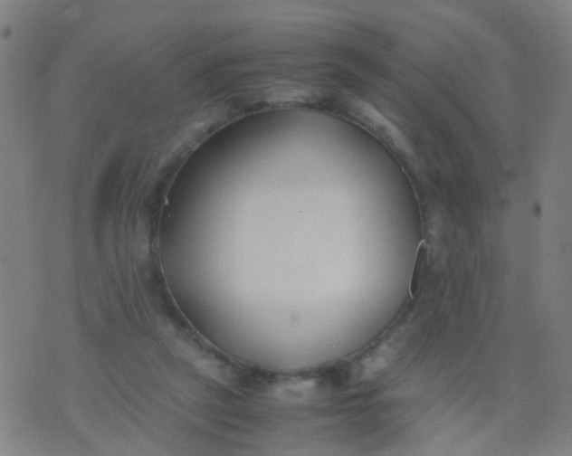 X0000074310257200609081949