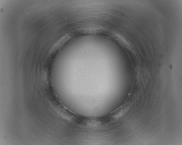 X0000074310258200609081949