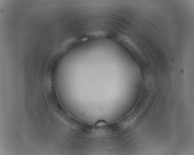 X0000074310259200609081949