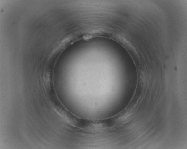 X0000074310260200609081949