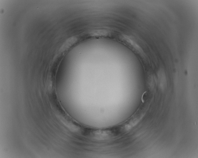 X0000074310261200609081949