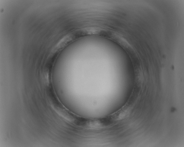 X0000074310262200609081949