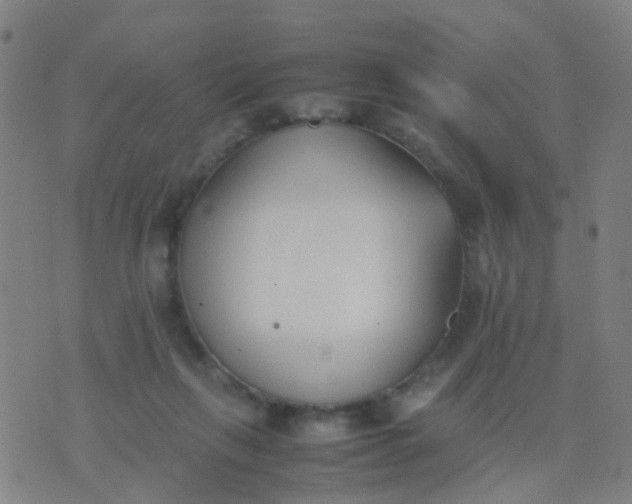 X0000074310263200609081949