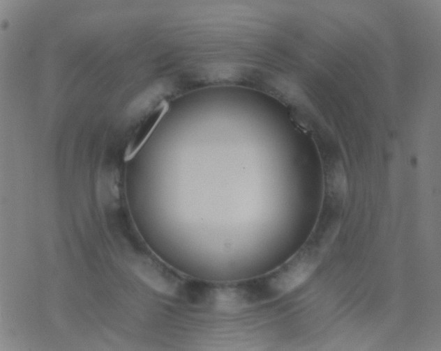 X0000074310264200609081949