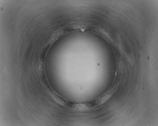 X0000074310265200609081949