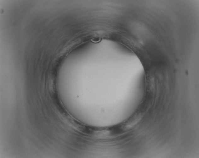 X0000074310266200609081949