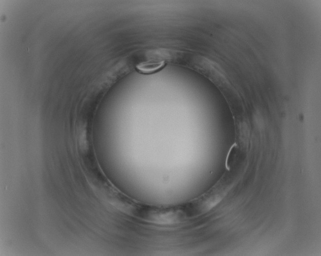 X0000074310267200609081949