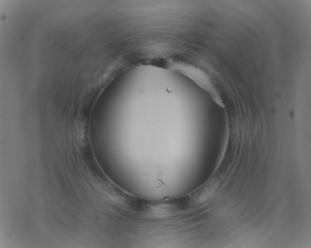 X0000074310268200609081949