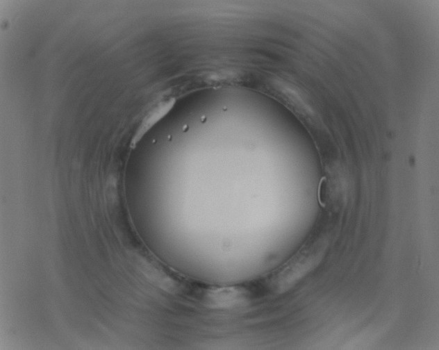 X0000074310269200609081949