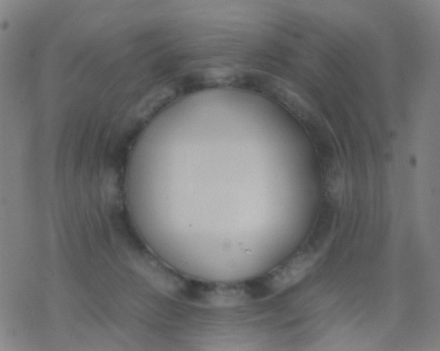 X0000074310270200609081949