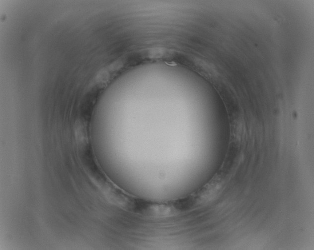 X0000074310272200609081949