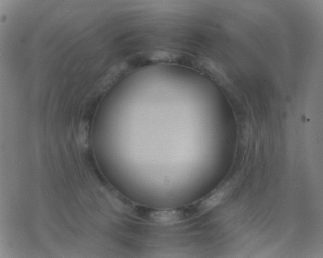 X0000074310273200609081949