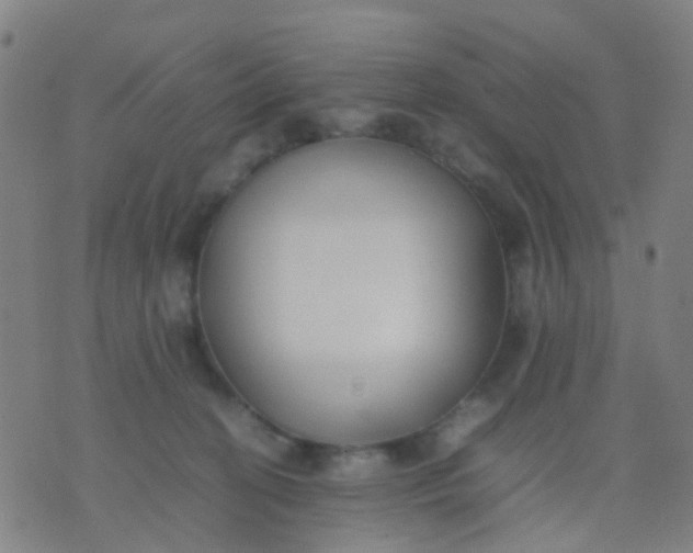 X0000074310274200609081949