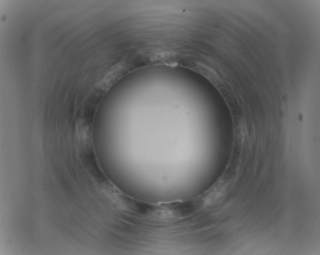 X0000074310276200609081950