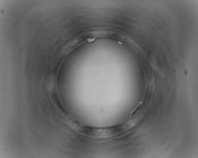 X0000074310277200609081950