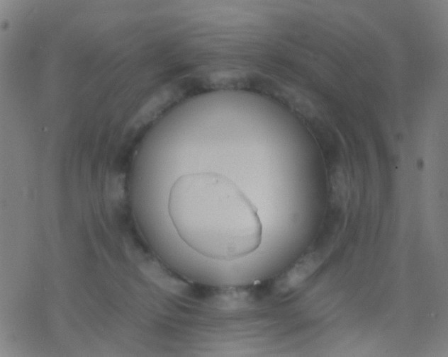 X0000074310278200609081950