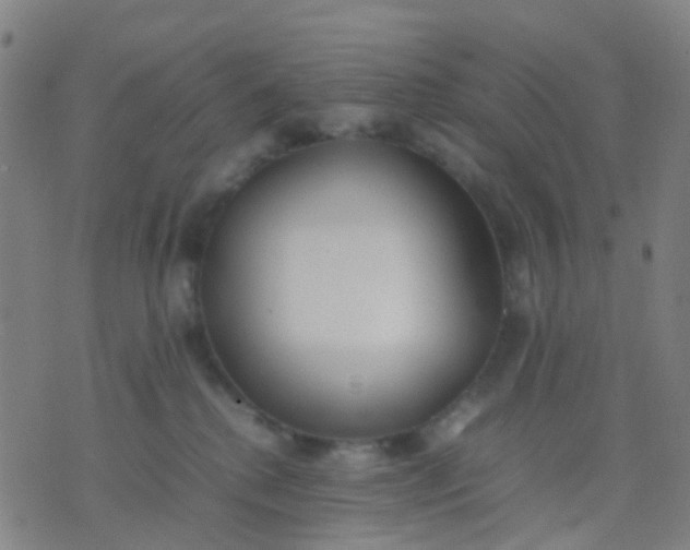 X0000074310280200609081950