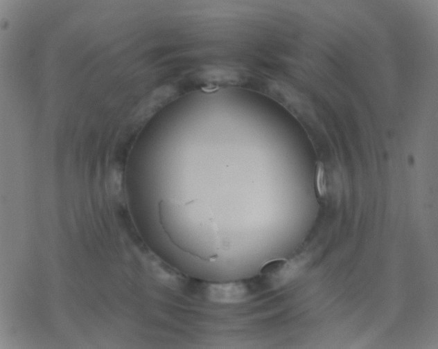 X0000074310281200609081950