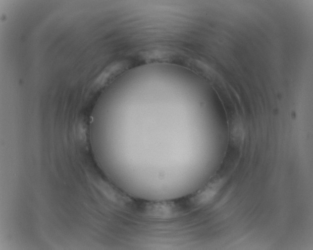 X0000074310282200609081950