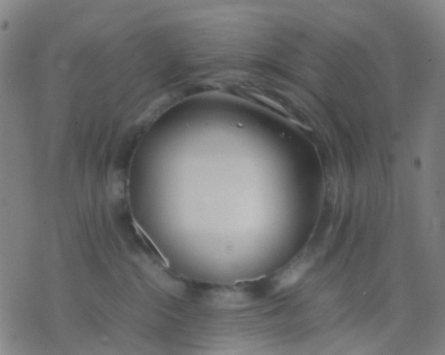 X0000074310284200609081950