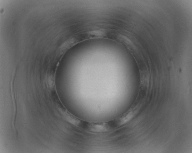 X0000074310285200609081950