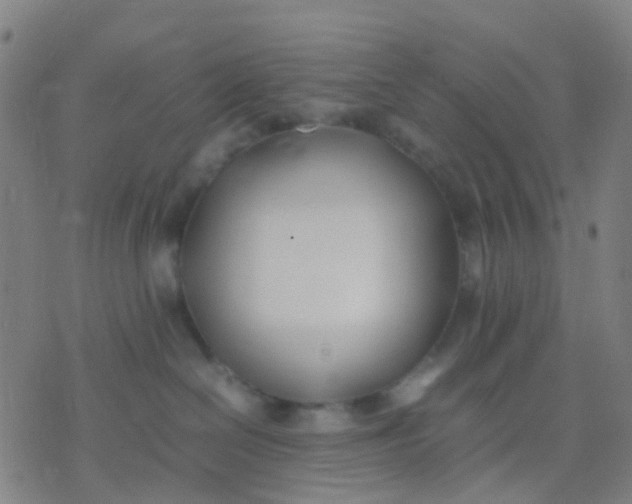 X0000074310286200609081950