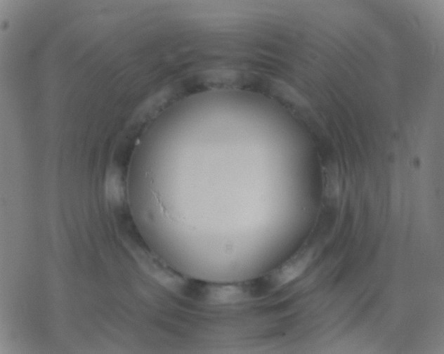 X0000074310287200609081950