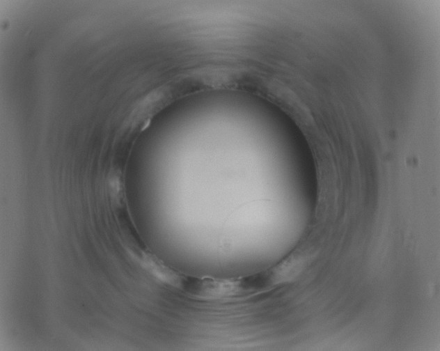 X0000074310288200609081950