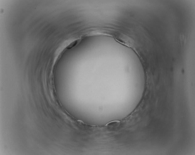 X0000074310289200609081949