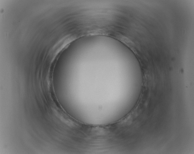 X0000074310290200609081949