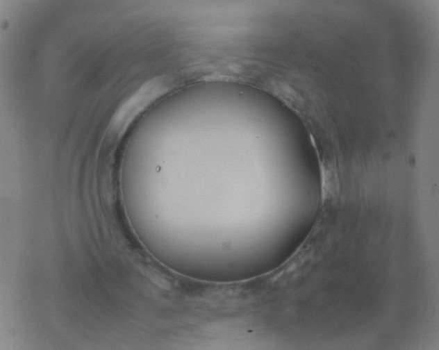 X0000074310291200609081949