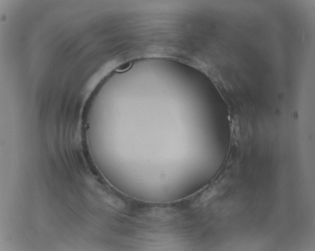 X0000074310292200609081949