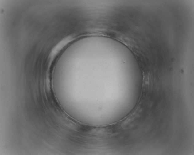 X0000074310294200609081949