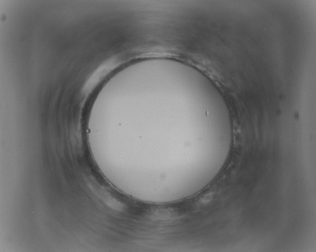 X0000074310296200609081949