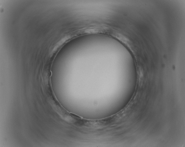 X0000074310297200609081949