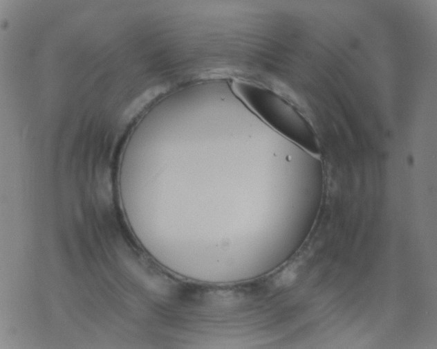 X0000074310298200609081949