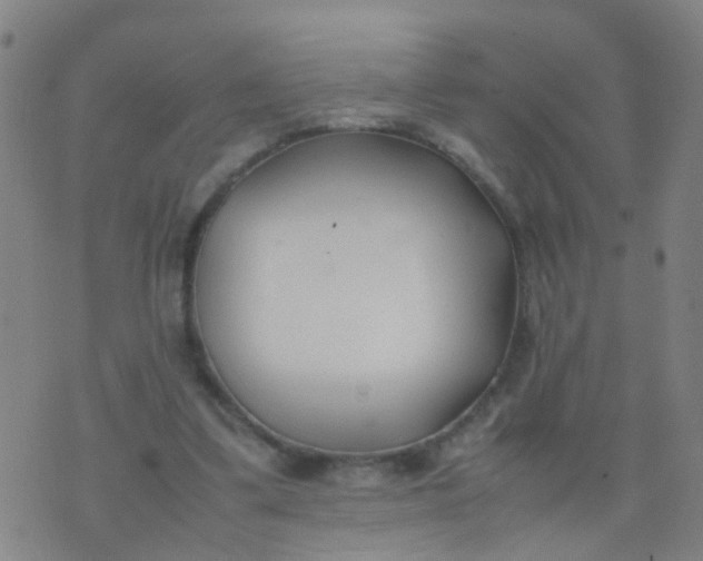 X0000074310299200609081949