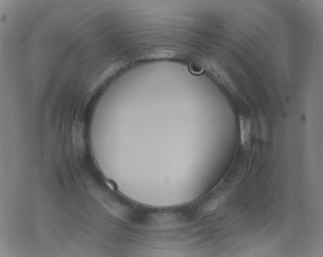 X0000074310300200609081949